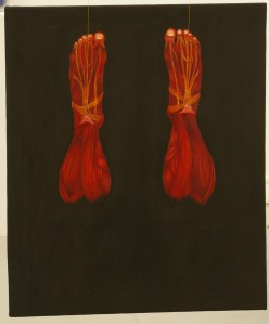 pieds en suspension, huiles sur toiles, 40/50cm,2009